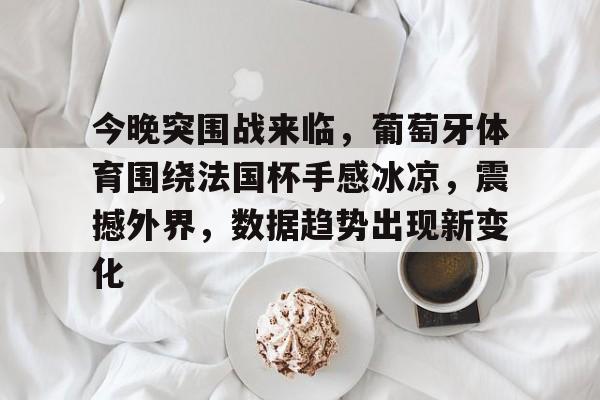 开云中国官网-今晚突围战来临，葡萄牙体育围绕法国杯手感冰凉，震撼外界，数据趋势出现新变化的简单介绍
